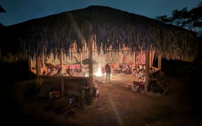 How to Prepare for an Ayahuasca Ceremony