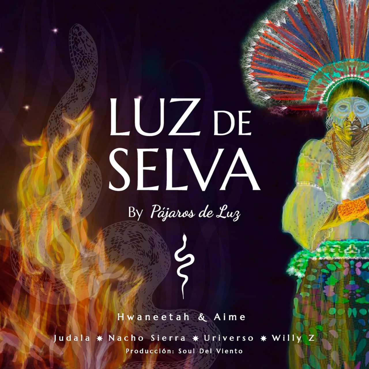 luz de selva pájaros de luz