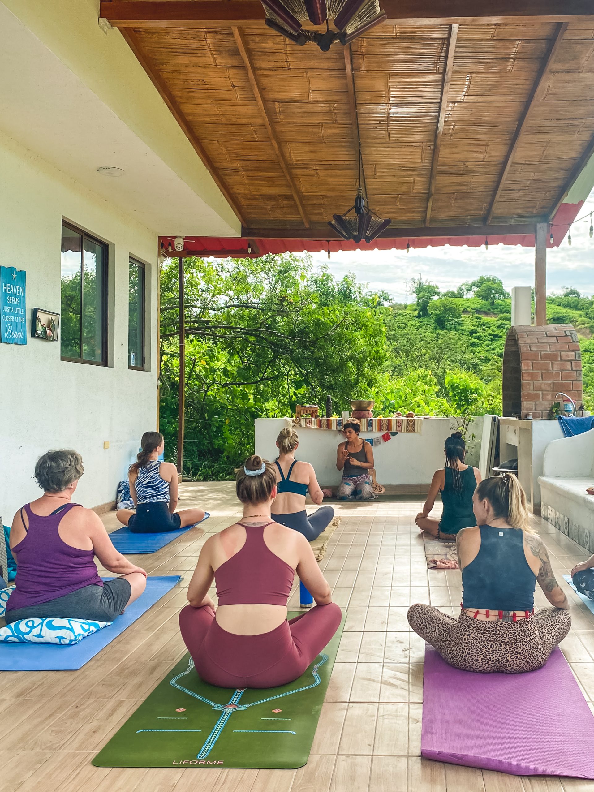 meditation and plant medicine 