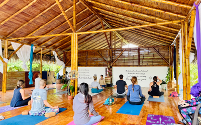 The Importance of a Morning Practice: Integrating Plant Medicine