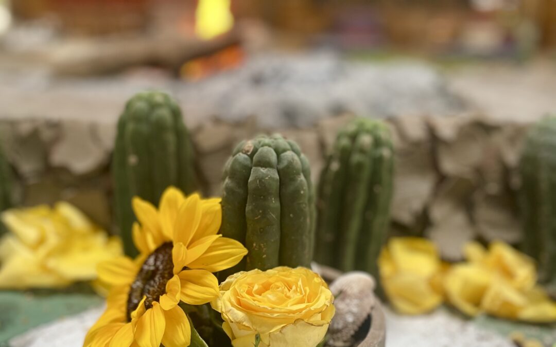 7 Things to Know About Huachuma: The San Pedro Cactus Medicine