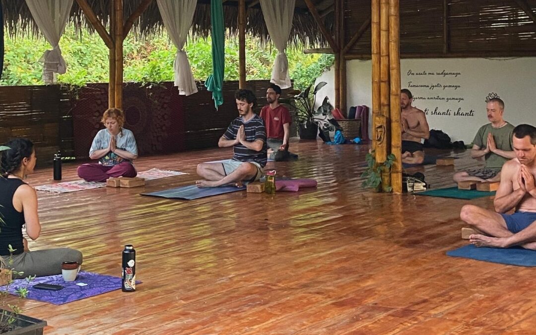 Meditation and Closing Cycles: Staying Present and Making Space