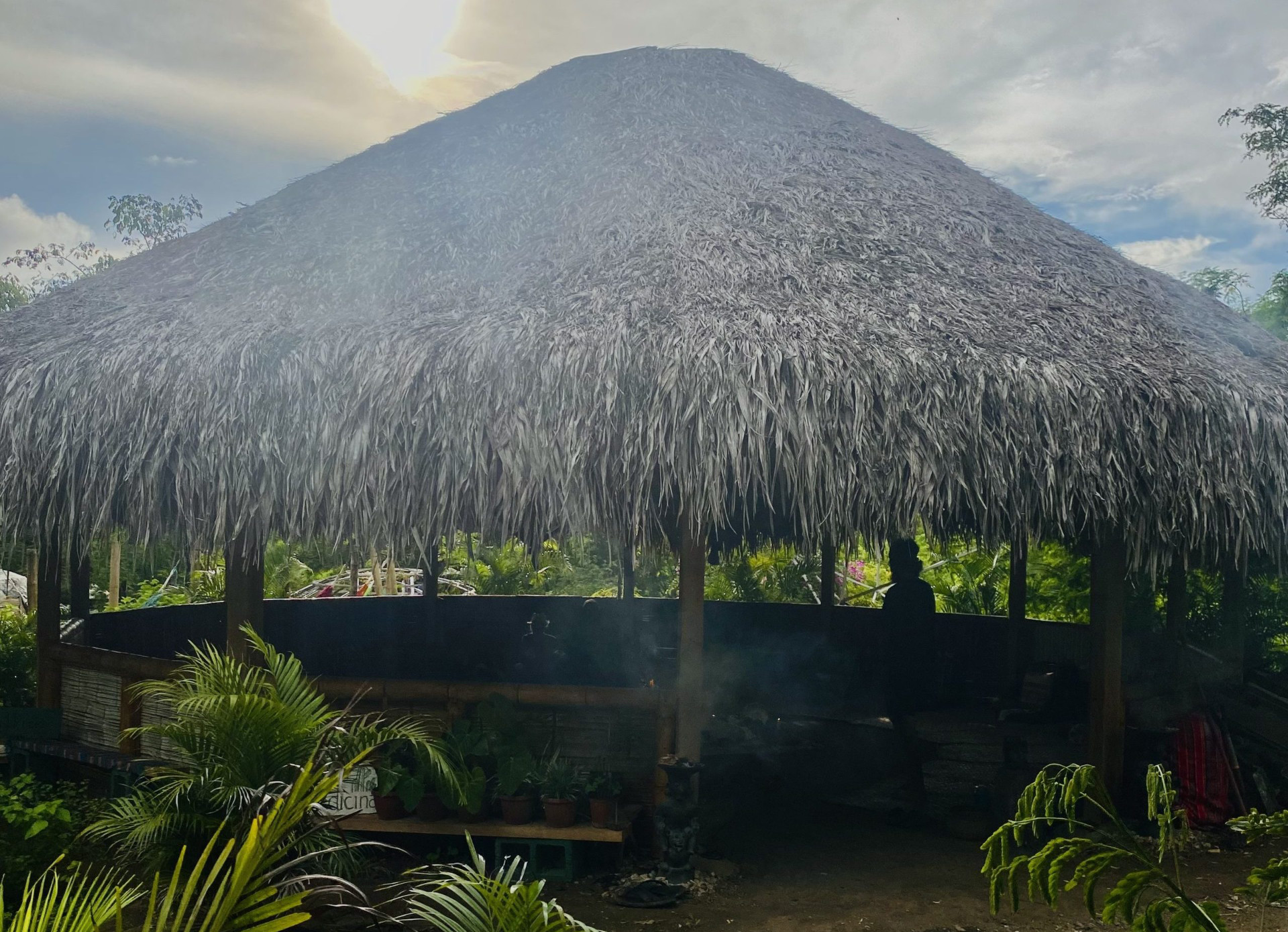 ayllu medicine plant medicine retreats